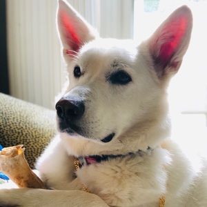 Meet your Posher, Shawn